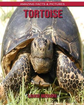 Book cover for Tortoise