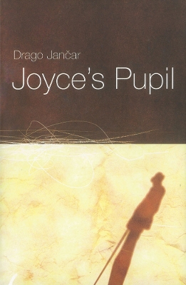 Book cover for Joyce's Pupil