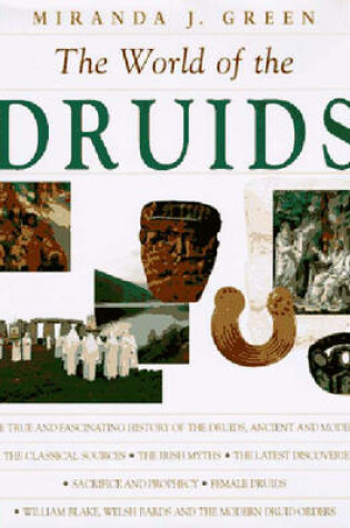 Cover of Exploring the World of the Druids