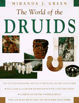Book cover for Exploring the World of the Druids
