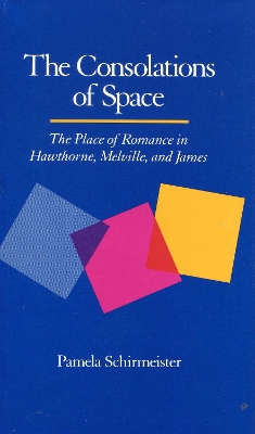 Book cover for The Consolations of Space