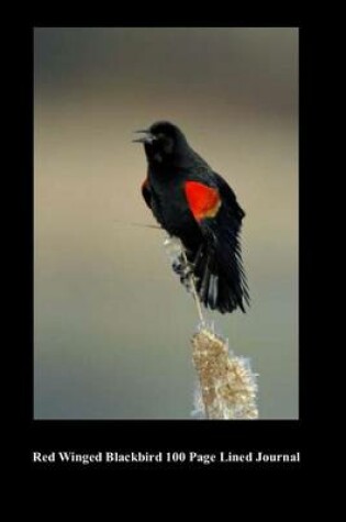 Cover of Red Winged Blackbird 100 Page Lined Journal