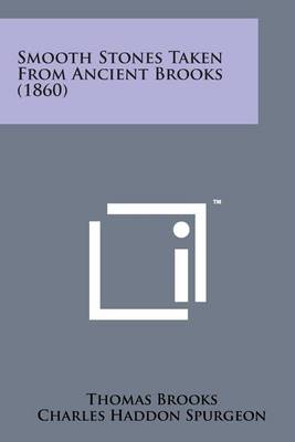 Book cover for Smooth Stones Taken from Ancient Brooks (1860)