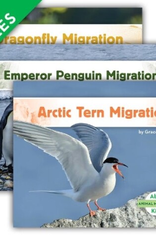 Cover of Animal Migration Set 2 (Set)