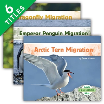 Cover of Animal Migration Set 2 (Set)