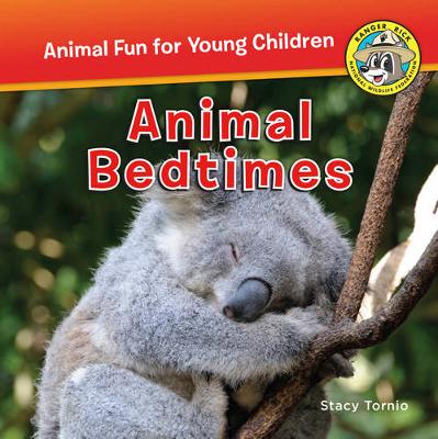 Book cover for Animal Bedtime