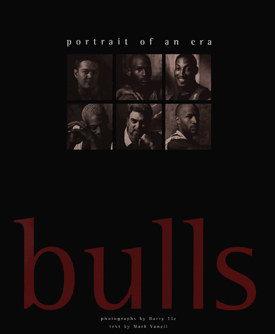 Book cover for Chicago Bulls