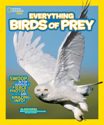 Book cover for Everything Birds of Prey