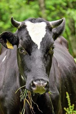 Book cover for Fat Happy Cow in a Field Journal