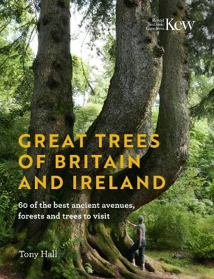 Book cover for Great Trees of Britain and Ireland
