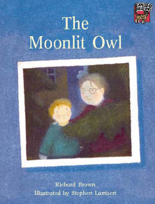 Book cover for The Moonlit Owl
