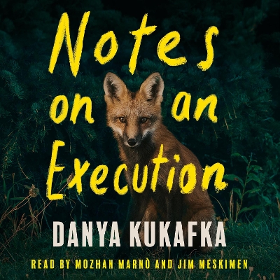 Book cover for Notes on an Execution