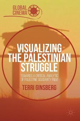 Book cover for Visualizing the Palestinian Struggle