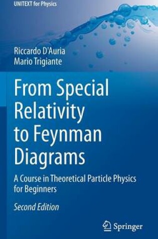 Cover of From Special Relativity to Feynman Diagrams