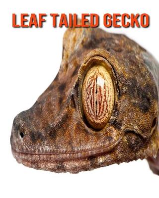 Book cover for Leaf Tailed Gecko