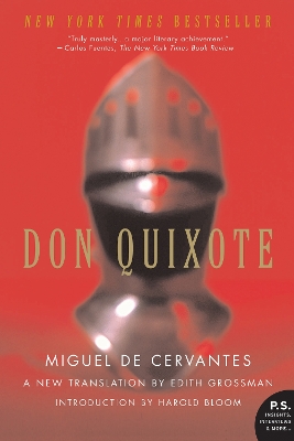 Book cover for Don Quixote