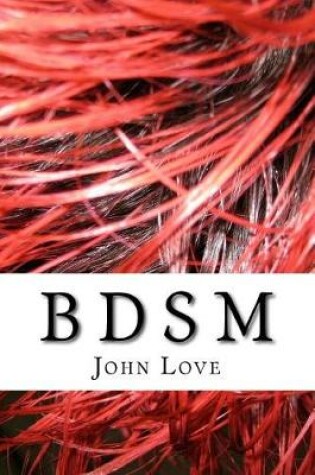 Cover of B D S M