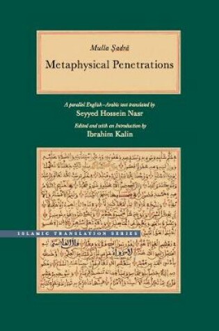 Cover of Metaphysical Penetrations