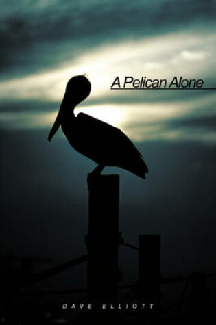 Cover of A Pelican Alone