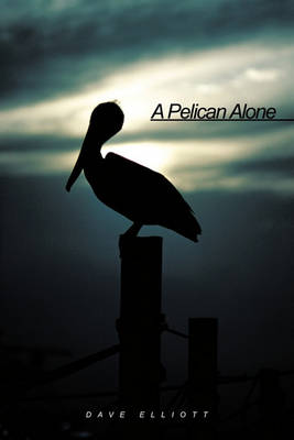 Book cover for A Pelican Alone
