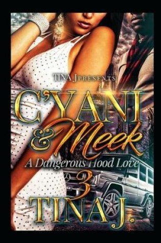 Cover of C'Yani & Meek 3