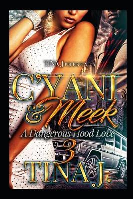 Book cover for C'Yani & Meek 3