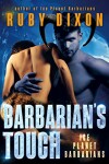 Book cover for Barbarian's Touch