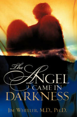 Cover of The Angel Came in Darkness