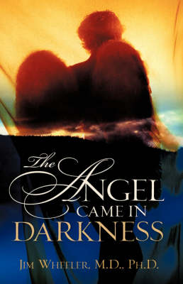 Book cover for The Angel Came in Darkness