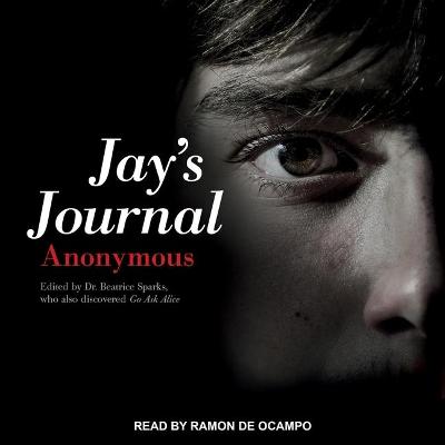 Book cover for Jay's Journal