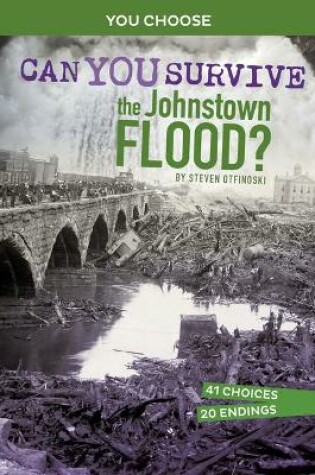 Cover of Disasters in History: Can You Survive The Johnstown Flood
