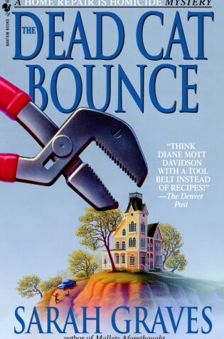 Cover of The Dead Cat Bounce