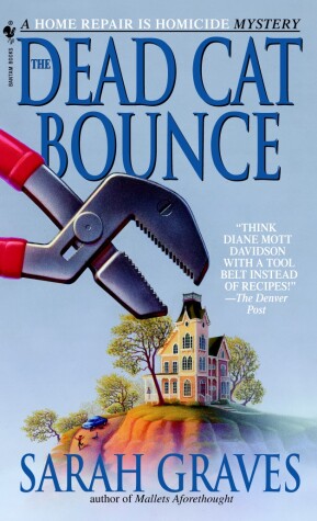 Book cover for The Dead Cat Bounce
