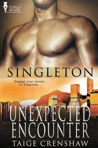 Cover of Singleton