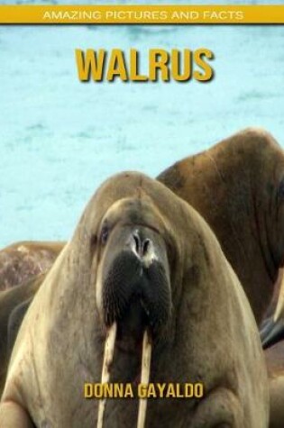 Cover of Walrus