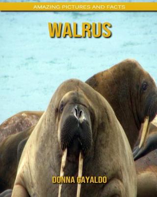 Book cover for Walrus