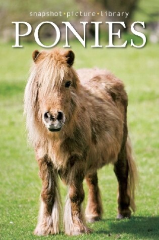 Cover of Ponies