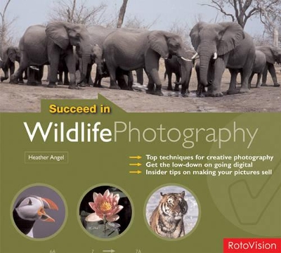 Book cover for Succeed in Wildlife Photography