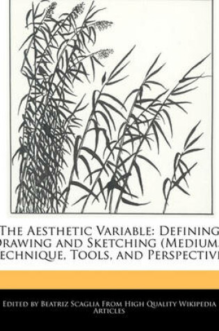 Cover of The Aesthetic Variable