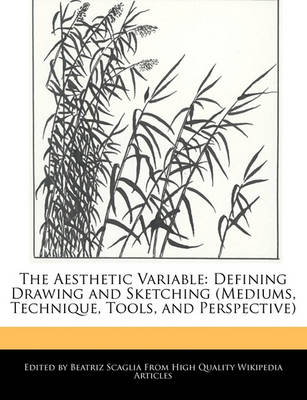 Book cover for The Aesthetic Variable