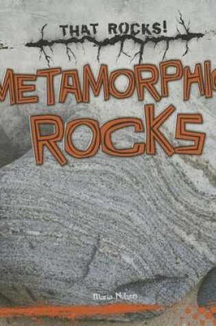 Cover of Metamorphic Rocks