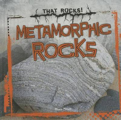 Book cover for Metamorphic Rocks