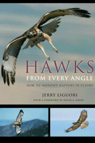 Cover of Hawks from Every Angle