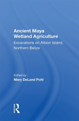 Book cover for Ancient Maya Wetland Agriculture