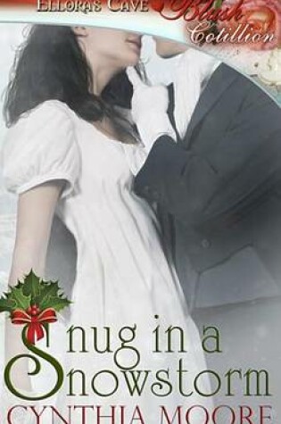 Cover of Snug in a Snowstorm