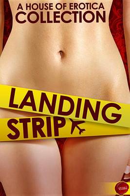 Book cover for Landing Strip