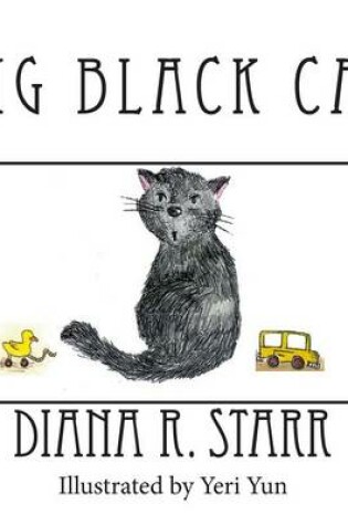 Cover of Big Black Cat