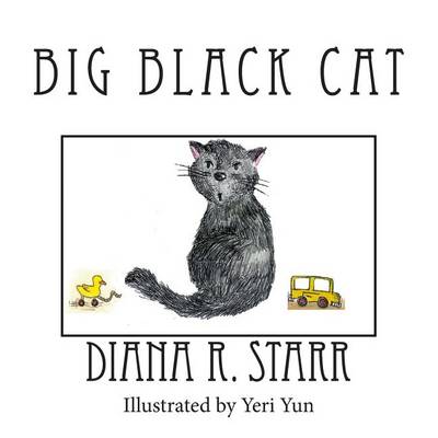 Book cover for Big Black Cat