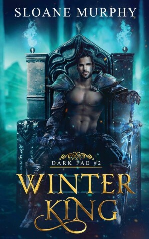 Book cover for Winter King