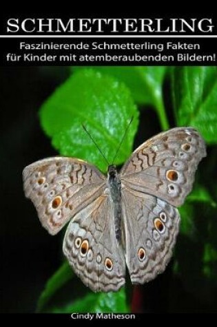 Cover of Schmetterling